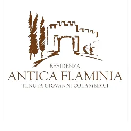 Residenza Antica Flaminia