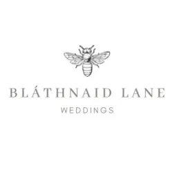 Blathnaid Lane Weddings Planner — wedding planners — Dublin portfolio photo 1